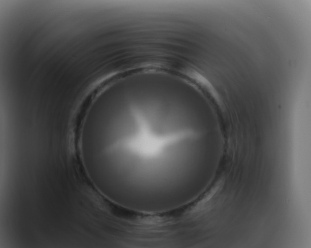 X0000089731019200706281545