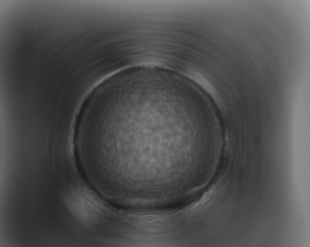 X0000089731020200706281545