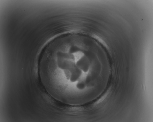 X0000089731021200706281545