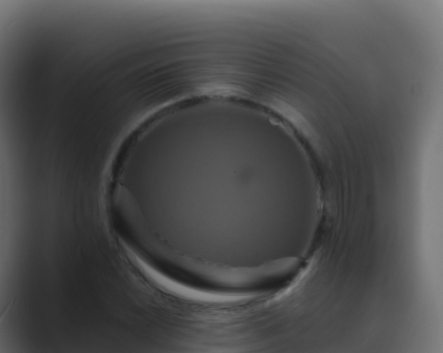 X0000089731022200706281545