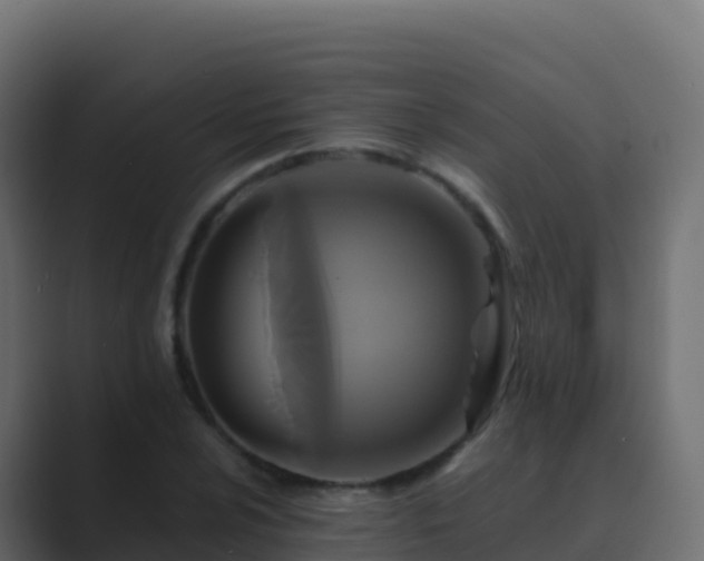 X0000089731024200706281545