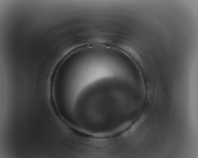 X0000089731031200706281545