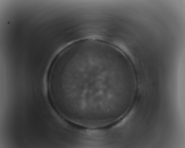X0000089731032200706281545