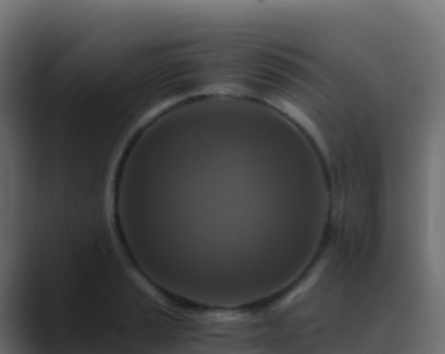 X0000089731037200706281545