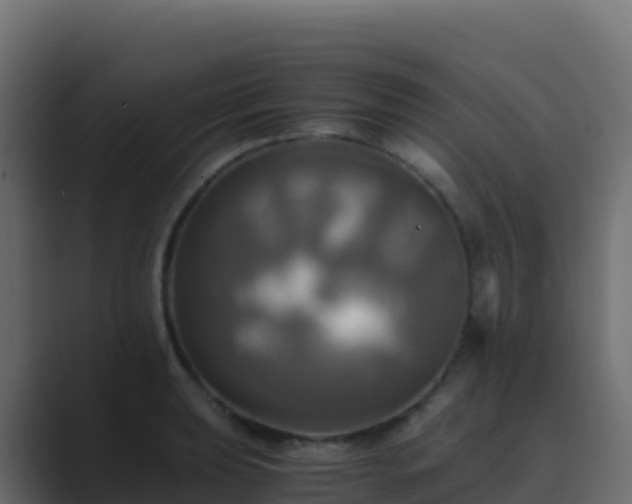 X0000089731039200706281545