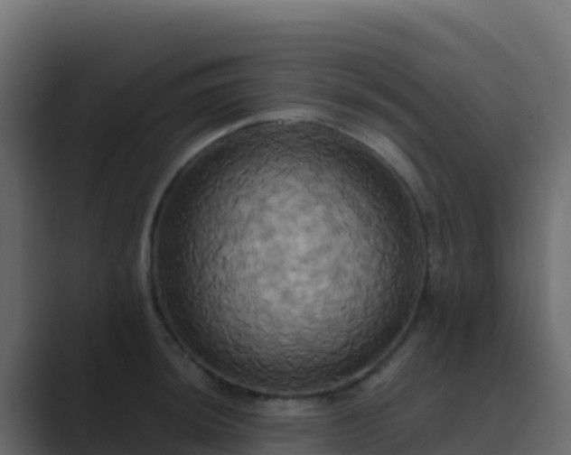 X0000089731044200706281545
