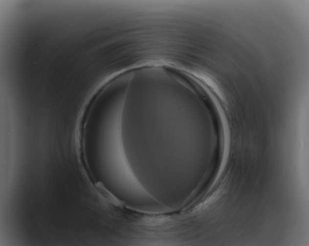 X0000089731046200706281545
