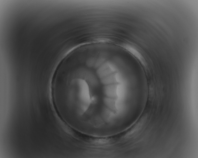 X0000089731047200706281545