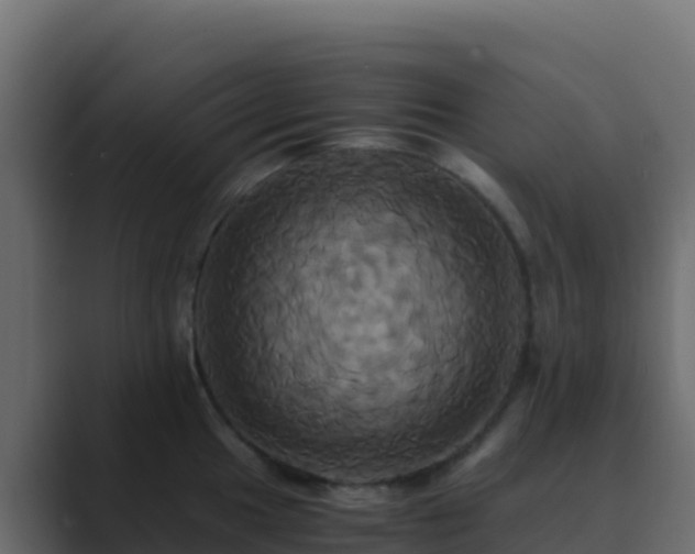 X0000089731049200706281545