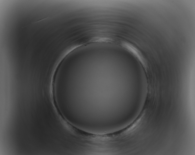 X0000089731050200706281545
