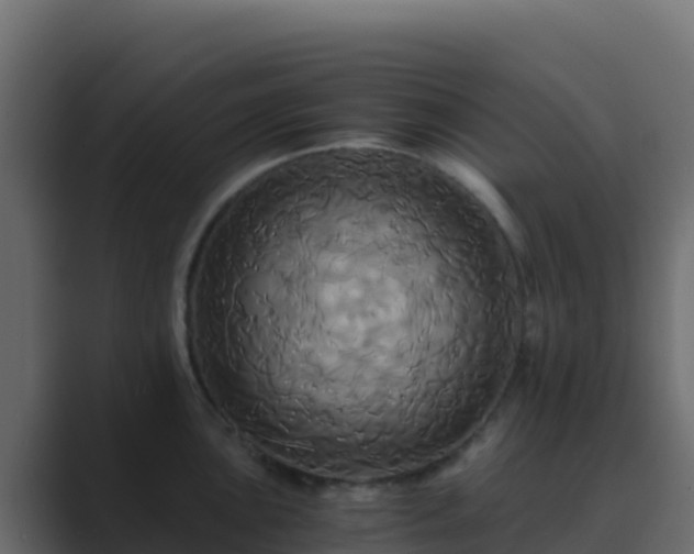 X0000089731051200706281545