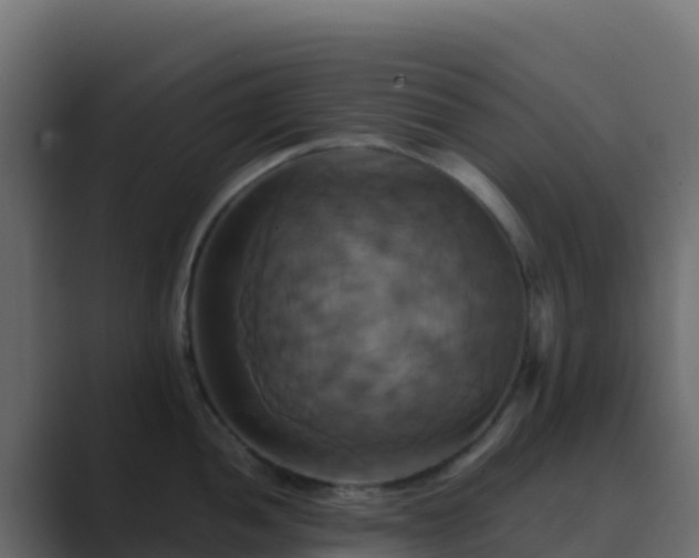 X0000089731052200706281545