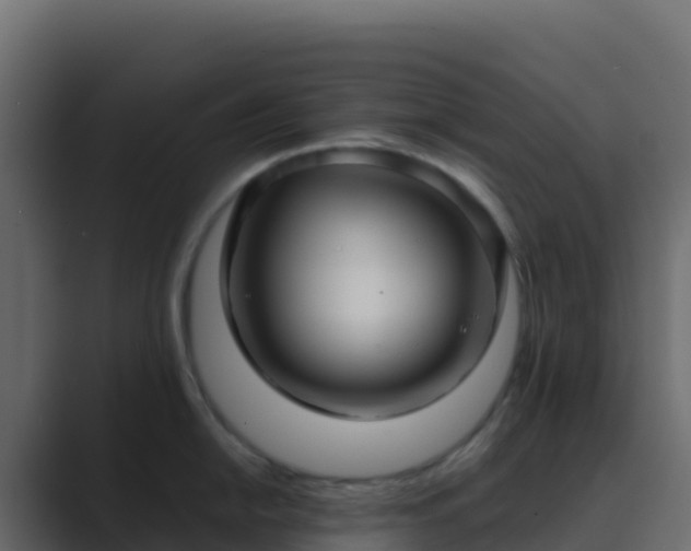 X0000089731054200706281546