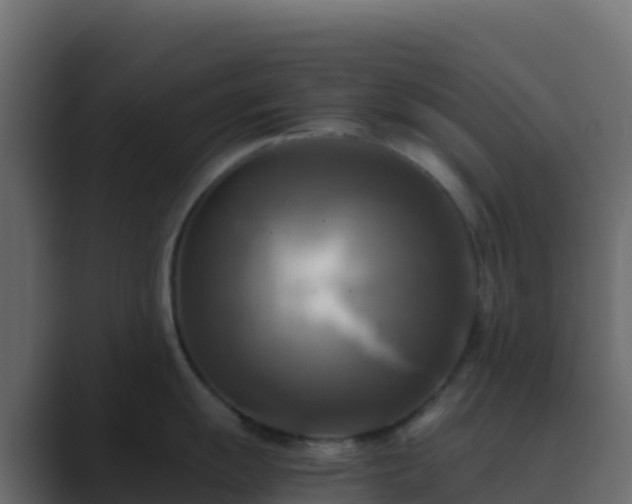 X0000089731055200706281546