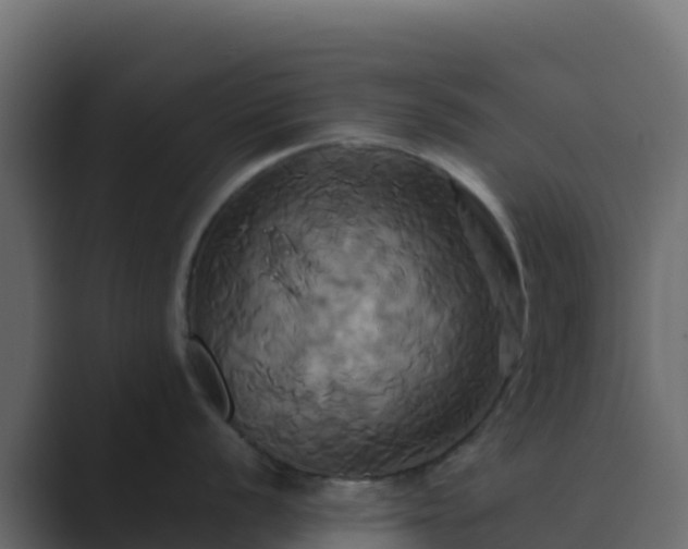 X0000089731056200706281546