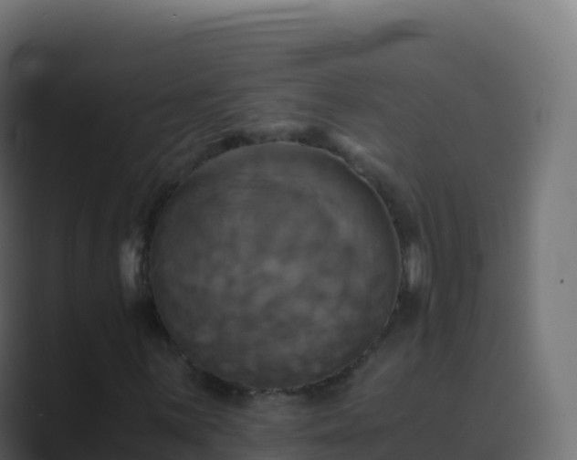 X0000089731059200706281545