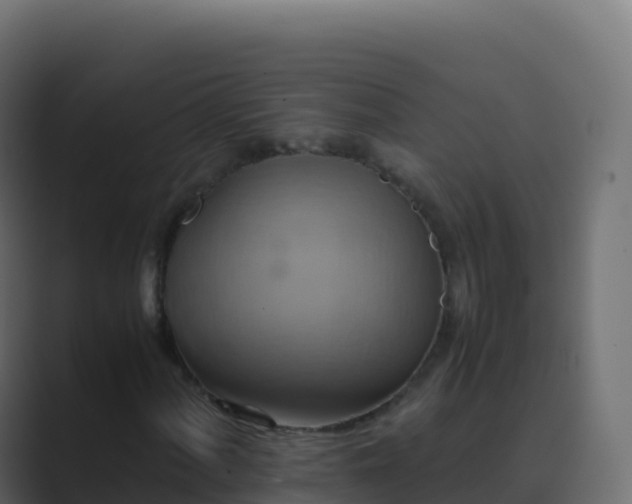 X0000089731060200706281545