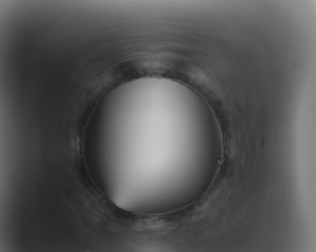 X0000089731061200706281545