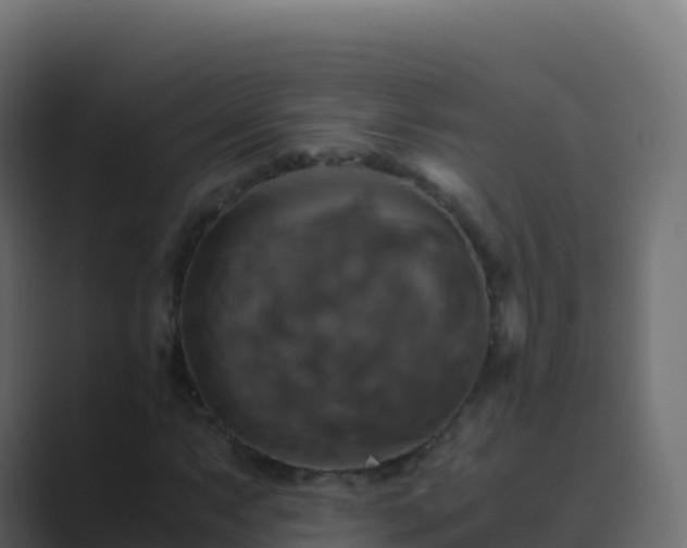 X0000089731063200706281545