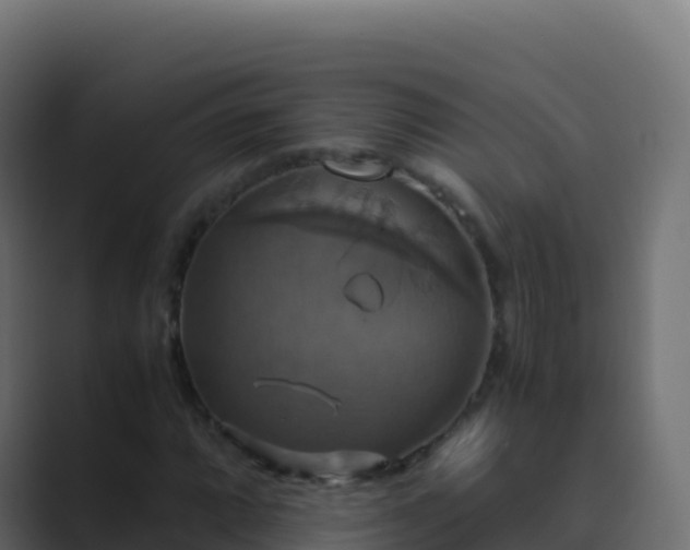 X0000089731064200706281545