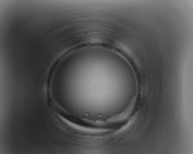 X0000089731065200706281545