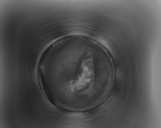 X0000089731068200706281545