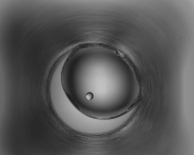 X0000089731069200706281545