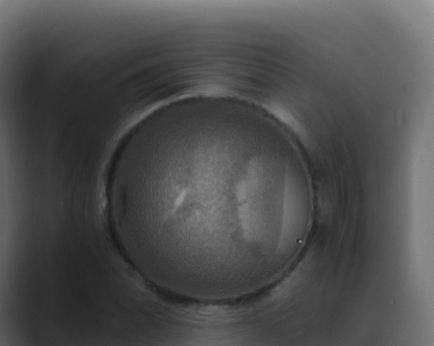 X0000089731070200706281545