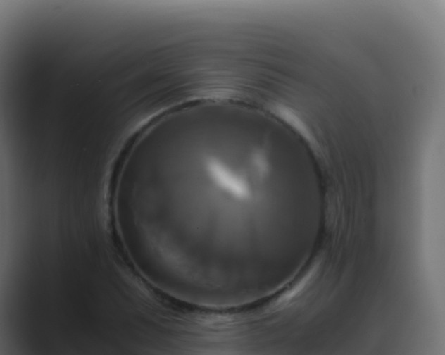 X0000089731071200706281545