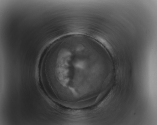 X0000089731072200706281545