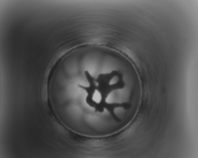 X0000089731075200706281545