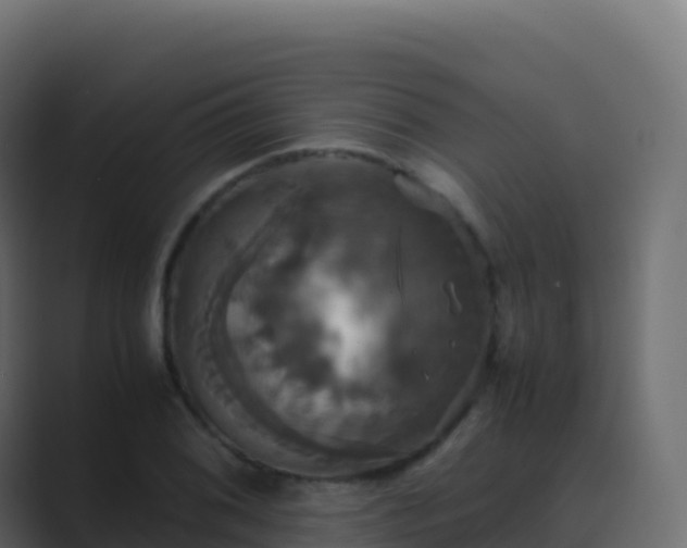 X0000089731076200706281545