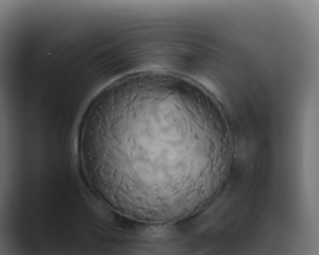 X0000089731078200706281545
