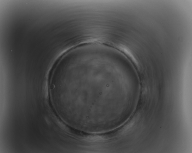 X0000089731079200706281545