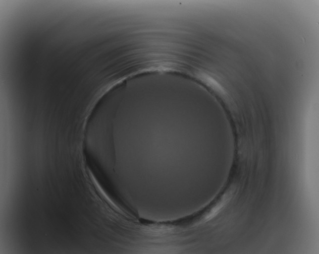 X0000089731081200706281545
