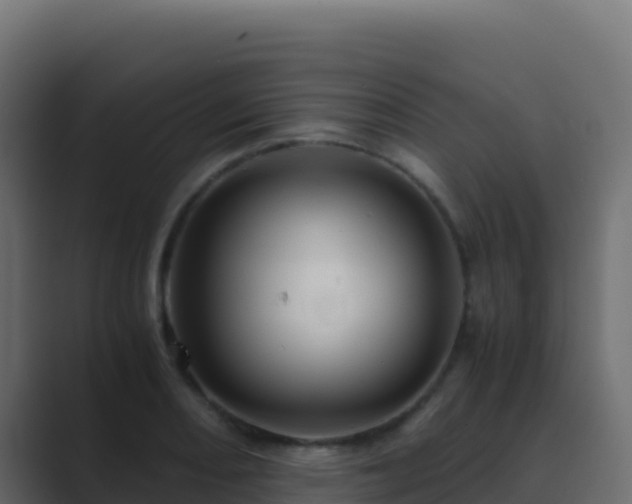X0000089731082200706281545
