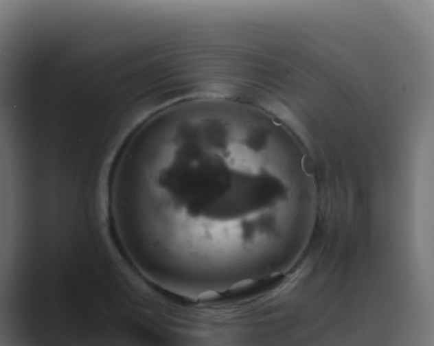 X0000089731083200706281545