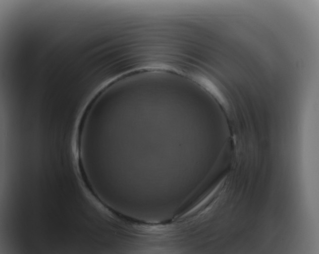 X0000089731084200706281545