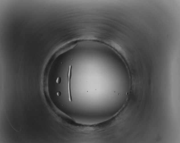 X0000089731085200706281545