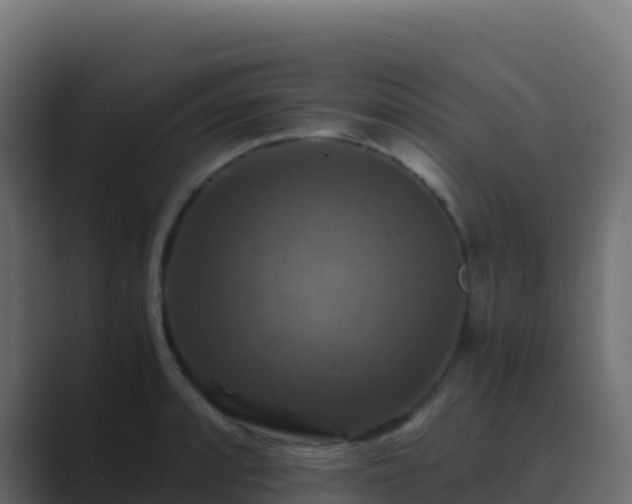 X0000089731088200706281545