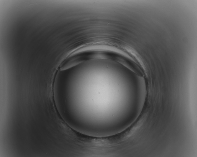 X0000089731089200706281545