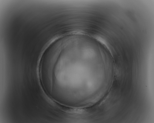 X0000089731090200706281545