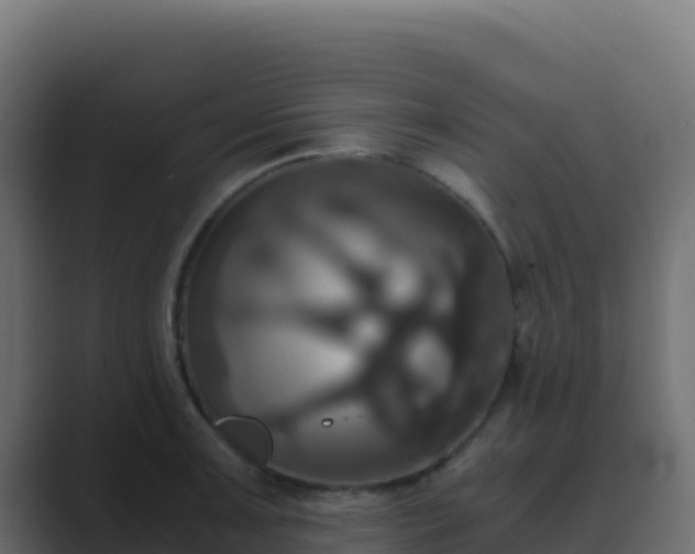 X0000089731091200706281545