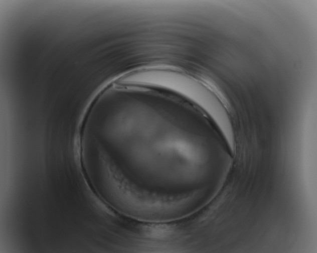 X0000089731092200706281545