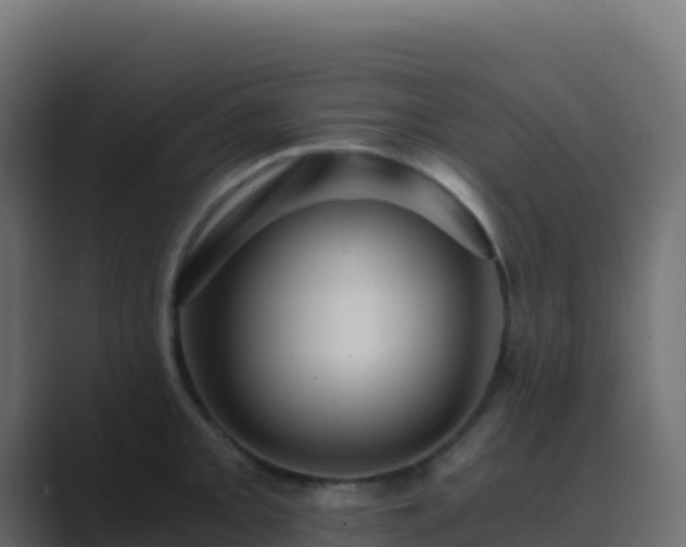 X0000089731093200706281545