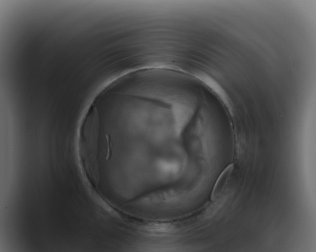 X0000089731096200706281545