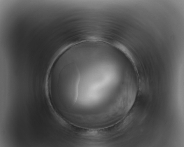 X0000089731098200706281545
