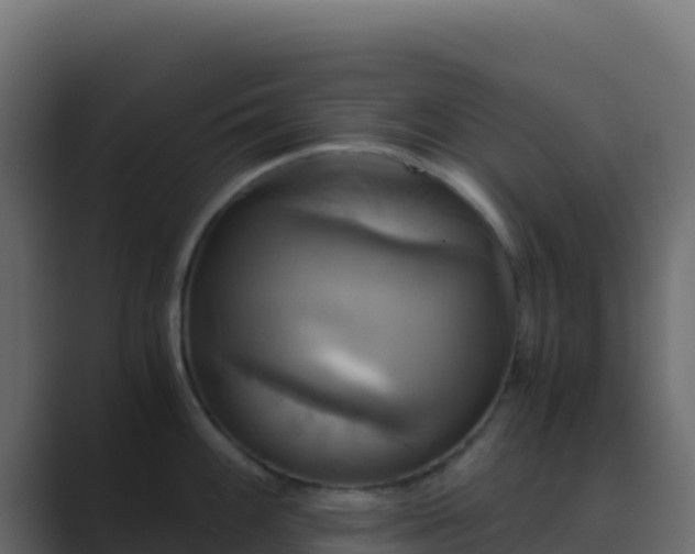 X0000089731100200706281544