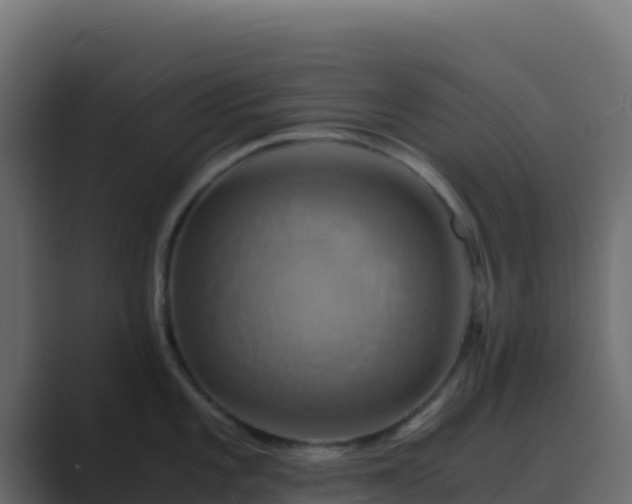 X0000089731101200706281544