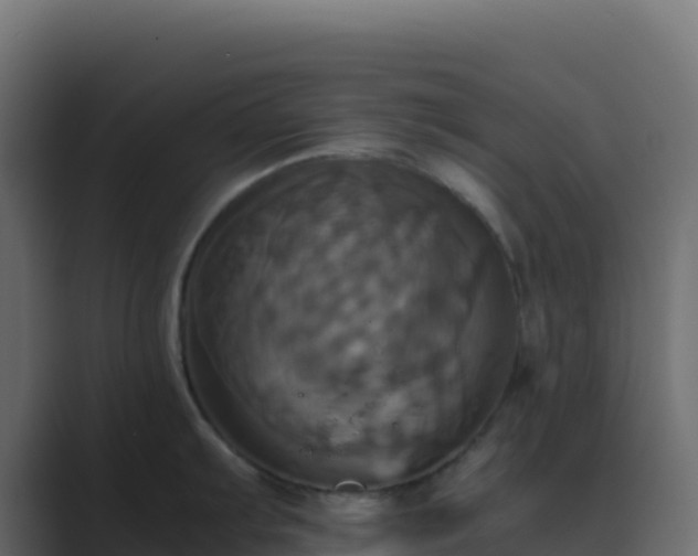 X0000089731103200706281544